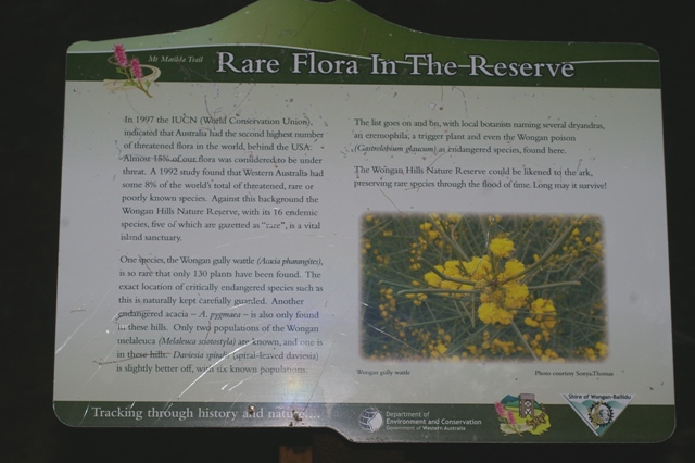 Rare plants interp sign, Wongan Wall, Mt Matilda Trail, WA, 23/07/11