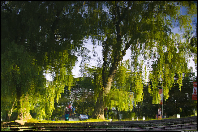 Centre Island Reflections