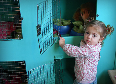 exhibit-happy-animal-clinic-04 | Grand Rapids Children's Museum | Flickr