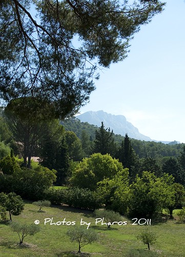 mountain france aixenprovence provence olivegrove letholonet paulcezanne