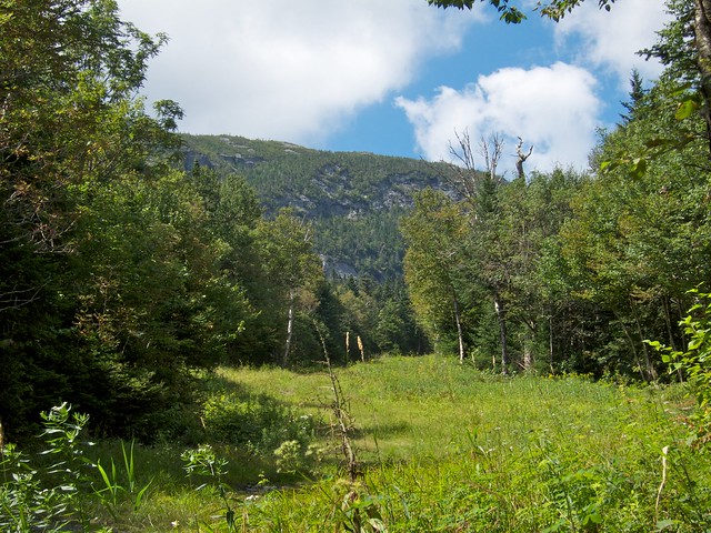 3:35:58 (83%): vermont hiking mtmansfield greenmountains haseltontrail