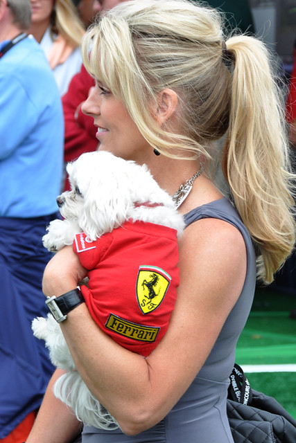 Ferrari dog.jpg