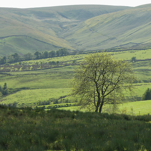 View from Lane Side, on Lythe Fell Road, Wain Hill, above Slaidburn, Forest of Bowland, Lancashire, UK
