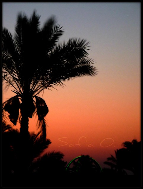 Sunrise at Hurghada, Egypt