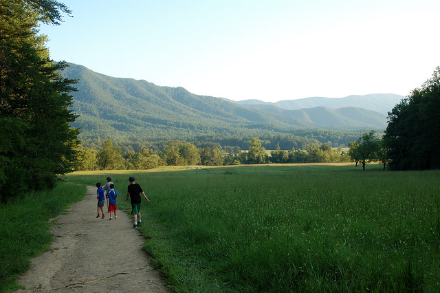 PFVacation2011 - Cade's Cove Path 2