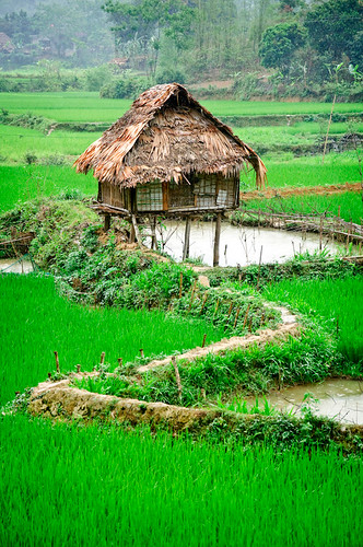 park travel tourism landscape nikon scenery asia tour rice paddy north vietnam motorbike national backpacking hmong ninhbinh d90 limestonekarst puluong whitethai goneforawander