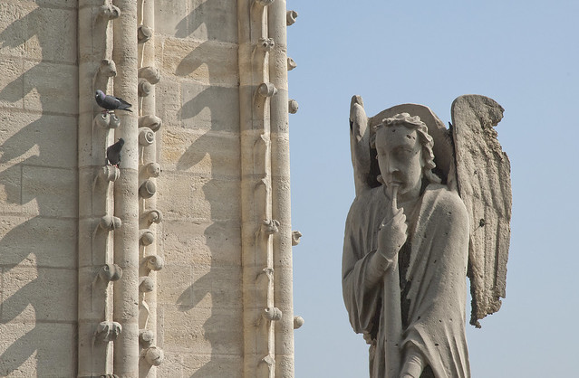 Notre Dame, detail