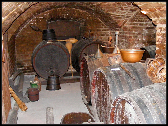 Hungarian grapes and wine in Europe - Permanent exhibition in Hungarian Agricultural Museum, Budapest, Hungary