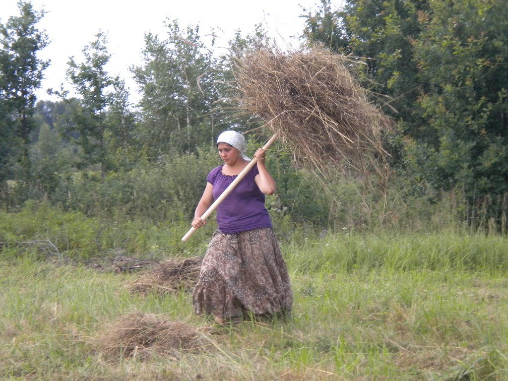Носить сено. Женщина на покосе. Женщина на сенокосе. Уборка сена. Убирают сено.