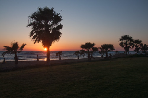 sunset sea sky tree water weather night geotagged evening coast europe outdoor cyprus clear palmtree lastlight paphos pafos cyp eparchíapáfou kátopáfos geo:lat=3477017208 geo:lon=3240493655