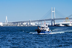 Yokohama Bay Bridge : 横浜ベイブリッジ