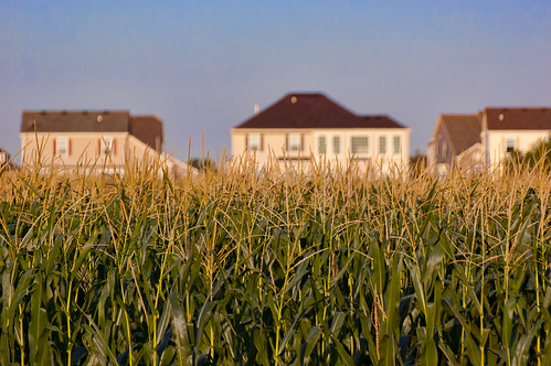 houses rural illinois corn unitedstates il sprawl woodstock exurbia