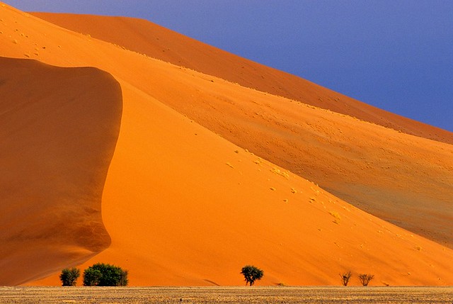 Namibia, orange dunes