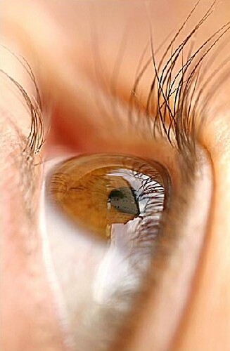 Vision Without Glasses | by cheaprailtravel