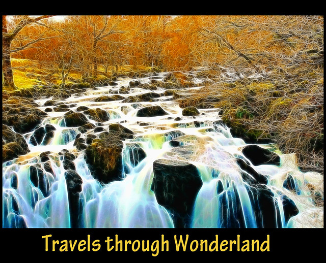 Travels through Wonderland