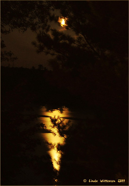 Moon Reflections On the Lake
