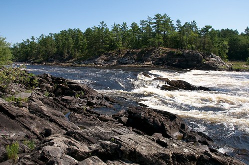 trees ontario canada black pine river rocks whitewater ottawa granite northern region chute