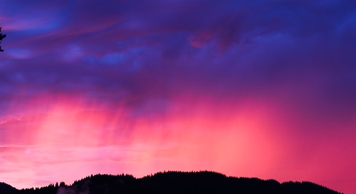 Sunrise by *wildbio*, This morning I woke up to thunder and when I opened my eyes I could see through the slits in the bli