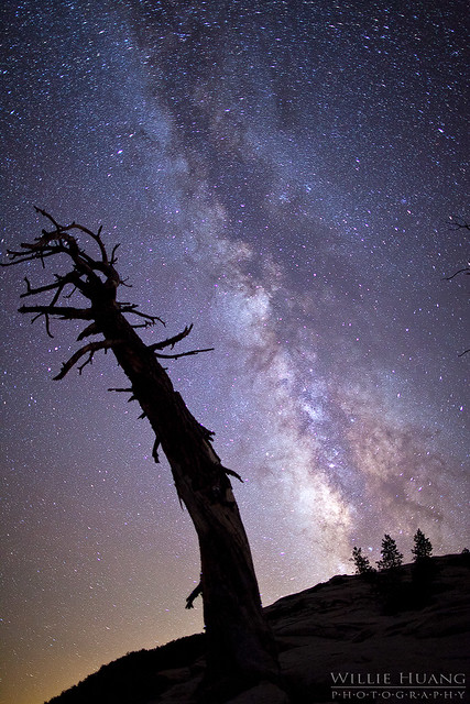 Milky Way Rise: Sentinel Dome