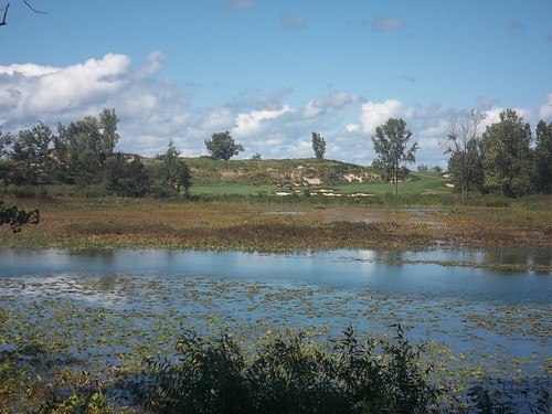 wetland jeanklockpark harborshores