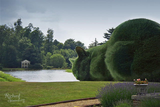 The Topiary Cat