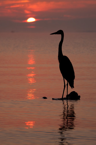 A Grand Morning by jeffsmallwood, I met a <a href="http://www.flickr.com/photos/reggiebishop/" target="blank">fellow Flickrite</a> for