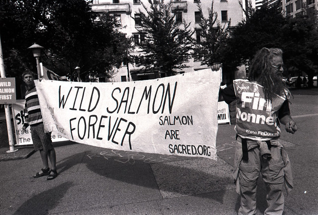 Save the Wild Salmon Rally (8 of 2)
