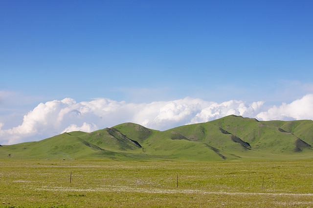 Grassland Between Weqan County and Tangke
