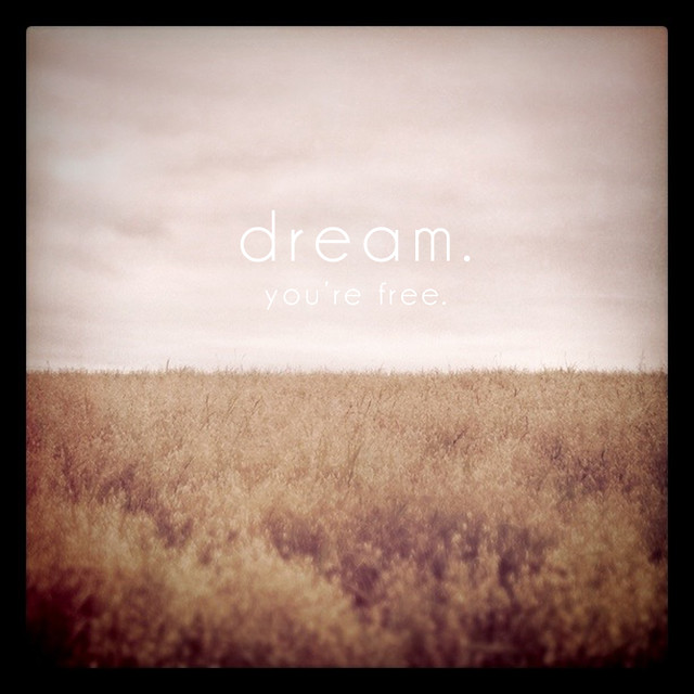 dream. you're free.