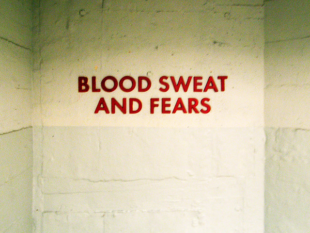 Blood, Sweat And Fears