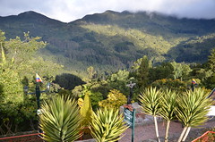 Cerro Monserrate