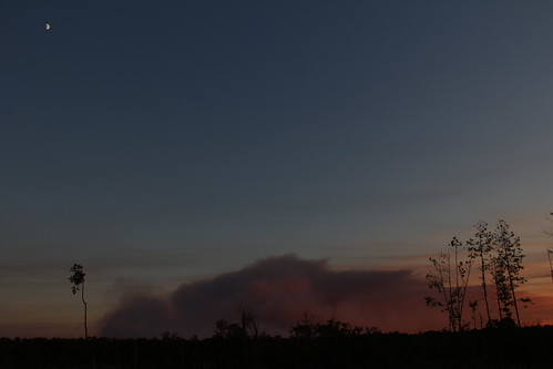 sunset texas laborday wildfire crockett