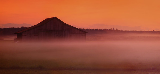 barn in the fog - Germany, Bavaria