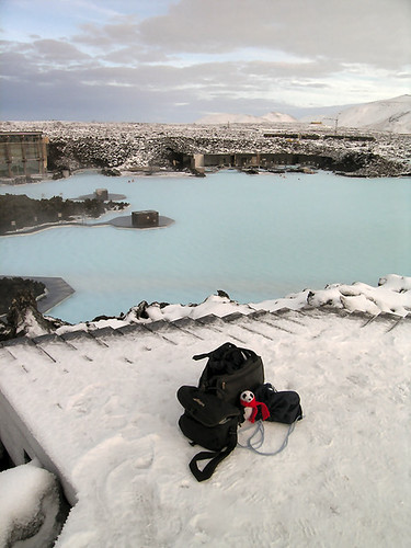 Mini Mei at the Blue Lagoon | by Amanda Paw-Pats