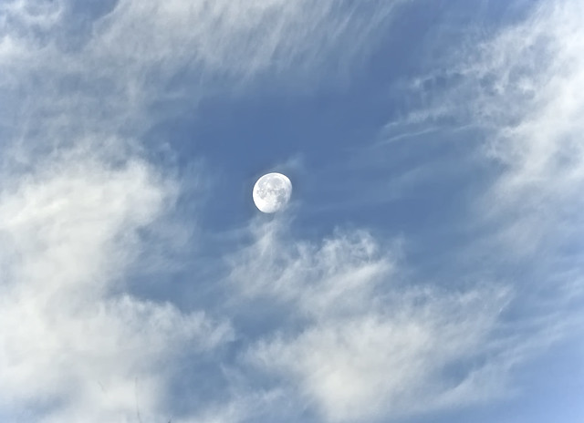 A Little Afternoon Moon!