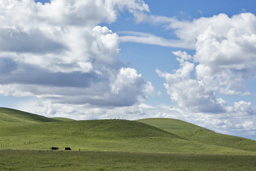 green clouds landscapes amazing cows cloudy rainclouds sanluisobispocounty rainydays cloudformations canonphotography amazingscenery californialandscapes greenlandscapes californiamountainranges
