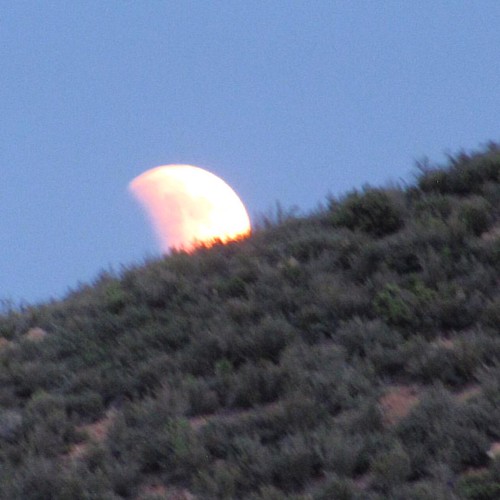 #eclipse | by grozbrn