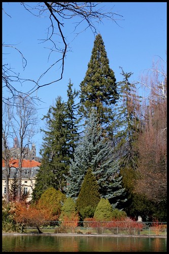 (43) Les arbres du Jardin Vinay (Le Puy-en-Velay) 22595169815_e3199b0d1a