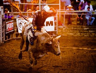 Sunset Bull Rider, Wimberley Rodeo