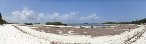 panorama beach landscape paradise kenya tropical vacanze panorami hugin watamu kenya2011