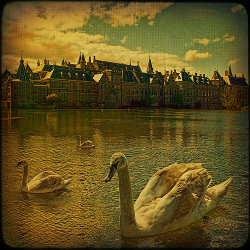 Den Haag... Old castle over the “swan lake”. by egold.