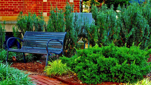 old green photoshop bench square landscape paul office bush post g sony a33 arkansas hdr newton fayetteville sonya33 paulgnewton