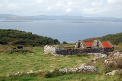 Cape Clear
