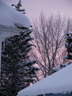 Snowy sunset between houses
