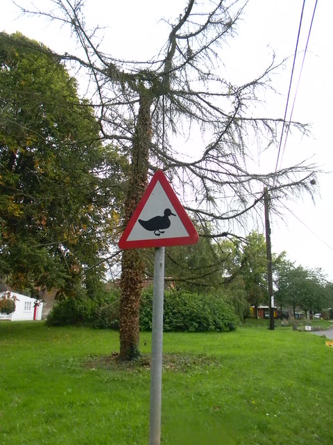 Duck sign. N Waltham Overton Circular