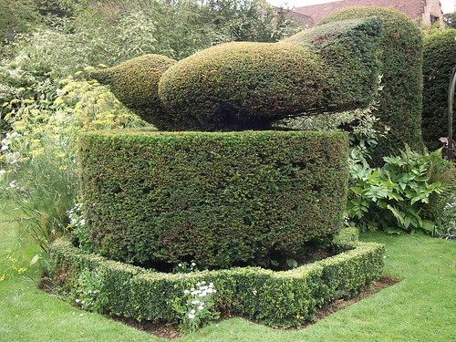 Topiary Bird | One of the topiary birds in the White Garden ...