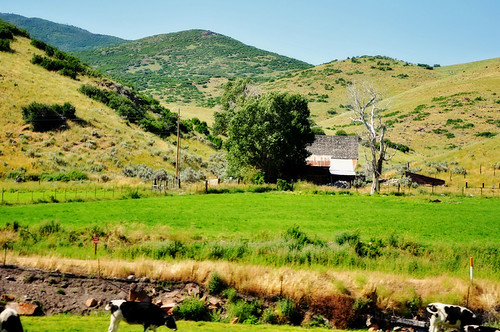 Echo Retreat | by TMLizzy Irwin