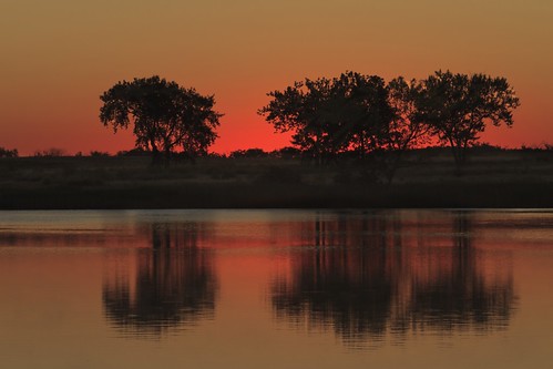 sunrise dawn landscape lake silhouettes trees lakeladora rockymountainarsenal mygearandme colorado landscapes