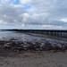 <p>low tide, Ryde pier</p>