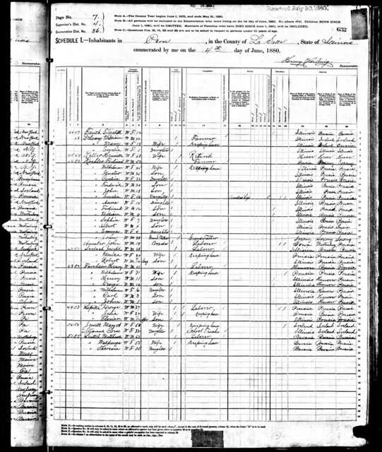 1880 census George